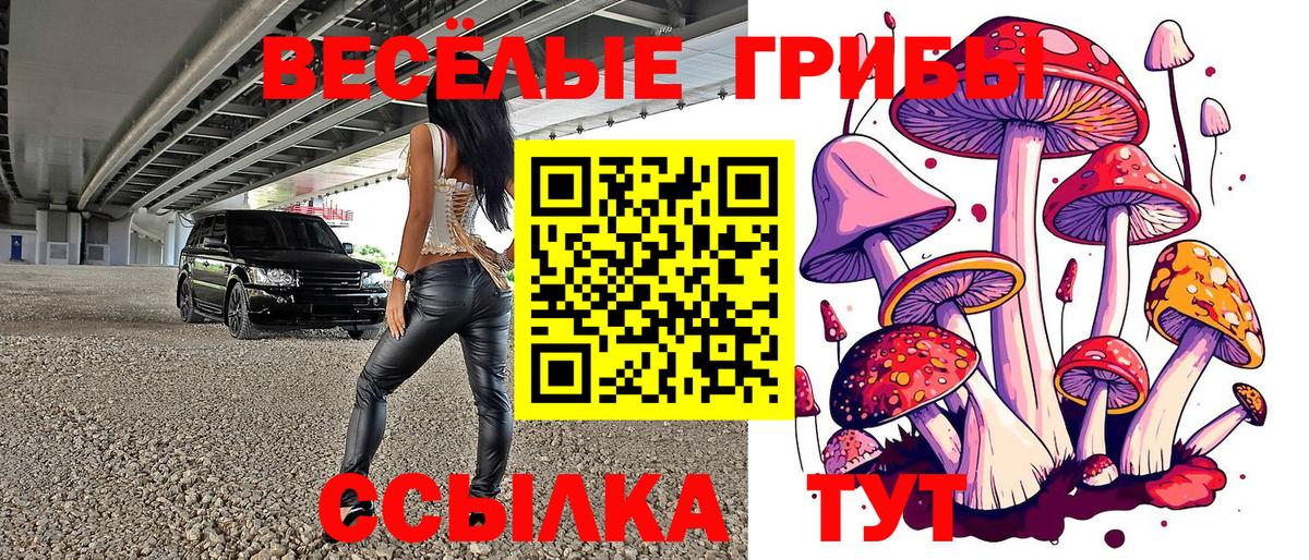 Луховицы  Галлюциногенные грибы GOLDEN TEACHER  Вход с VPN 
